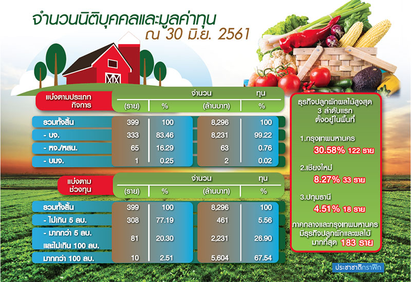“ปลูกผักผลไม้” ธุรกิจดาวรุ่ง รับนโยบายรัฐบูม “มหานครผลไม้โลก”-