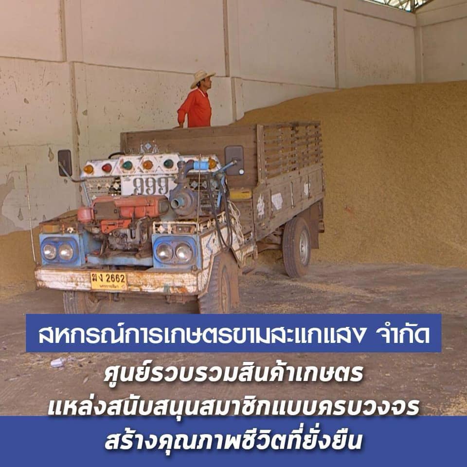 สารคดีเสียงจากแผ่นดิน season3 EP. 21 สหกรณ์การเกษตรขามสะแกแสง จำกัด ศูนย์รวบรวมสินค้าเกษตรที่คอยสนับสนุนปัจจัยการผลิต เงินทุน ให้กับสมาชิกแบบครบวงจร