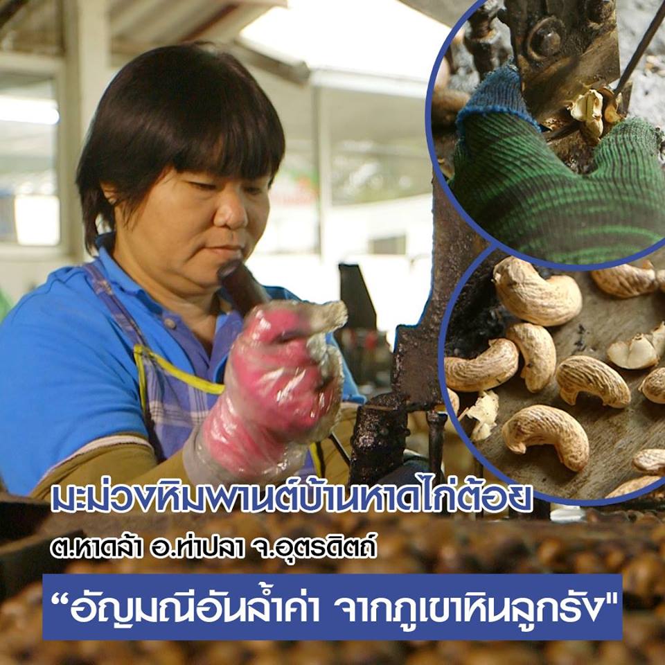 สารคดีเสียงจากแผ่นดิน season3 EP. 23 ตอนมะม่วงหิมพานต์บ้านหาดไก่ต้อย ต.หาดล้า อ.ท่าปลา จ.อุตรดิตถ์ “อัญมณีอันล้ำค่า จากภูเขาหินลูกรัง”