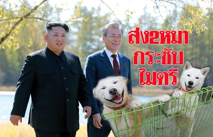 คิมส่ง2หมาน้อย พันธุ์ฉลาด-ภักดี ให้ผู้นำเกาหลีใต้ คาดแฝงสัญญะ