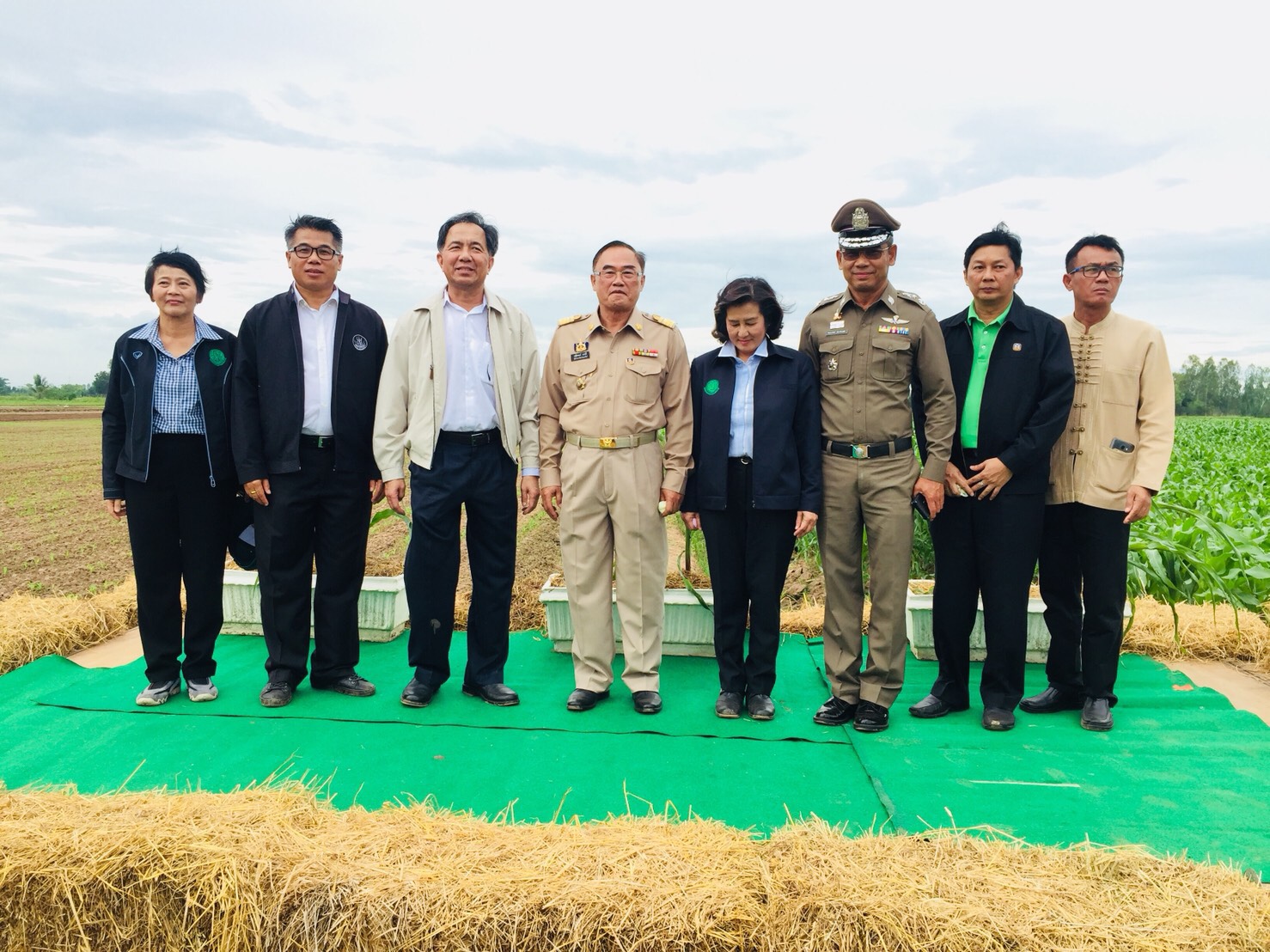เกษตรเร่งตลาดนำผลิต หนุนปลูกข้าวโพดเลี้ยงสัตว์หลังฤดูทำนา พร้อมประสานซีพี-เบทาโกร รับซื้อผลผลิต
