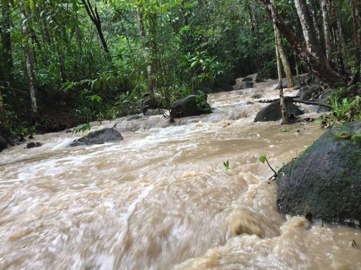 พยากรณ์อากาศวันหยุดยาว 7-13 ธ.ค. เช็กเลย ที่ไหนฝนตก ที่ไหนอากาศเย็น