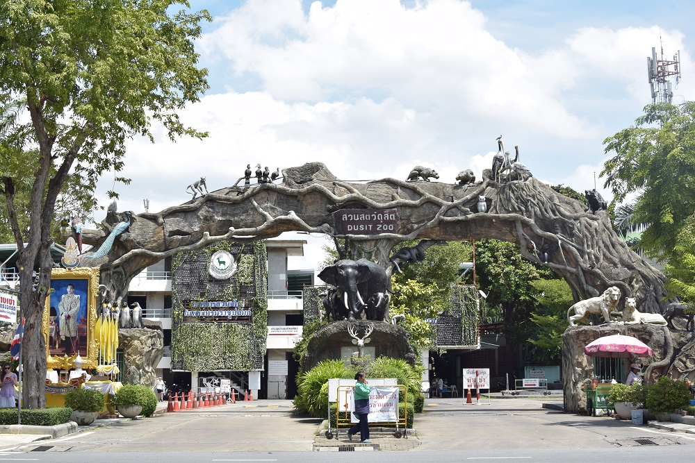 5 ไฮไลต์ “เขาดิน” ที่ไม่ใช่เรื่องสัตว์
