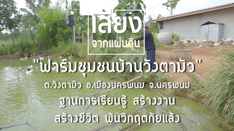 สารคดีเสียงจากแผ่นดิน ตอน ฟาร์มชุมชนบ้านวังตามัว ต.วังตามัว อ.เมืองนครพนม