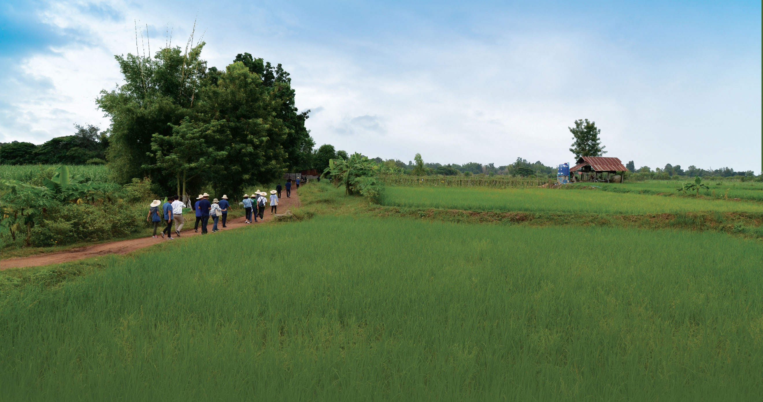 สืบสานปณิธานรัชกาลที่ 9 “ปิดทอง” ดึงเอกชนขับเคลื่อนชุมชน-