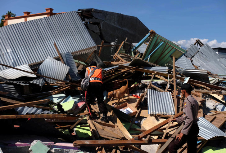 An Indonesian policeman uses a dog to search for victims at a destroyed building in Petobo, South Palu, Central Sulawesi