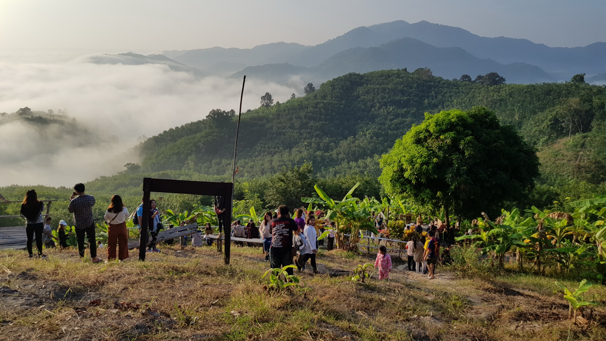 “หนองคาย” เตรียมเต็นท์-ปรับพื้นที่ พร้อมรับนักท่องเที่ยวชมทะเลหมอก