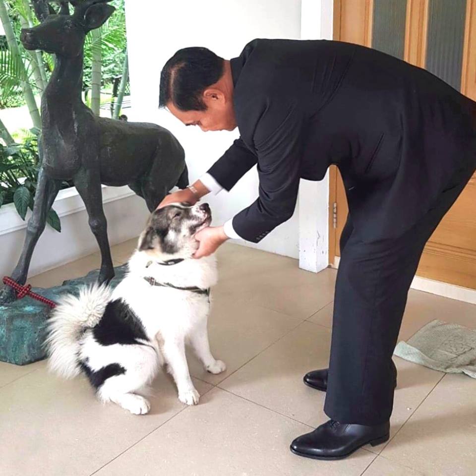 หอนรับทุกวัน! นายกฯ อารมณดีบอก “สุนัข” ที่บ้านรับ-ส่ง ทุกวัน หลังโซเชียลแซวเชือกล่ามคอ