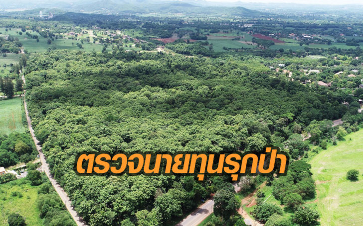 ตรวจนายทุนบุกรุกสวนป่าสัก184ไร่ ทางขึ้นเขาใหญ่ค่า3พันล้าน ไร้เอกสารสิทธิ์ อ้างที่บรรพบุรุษ