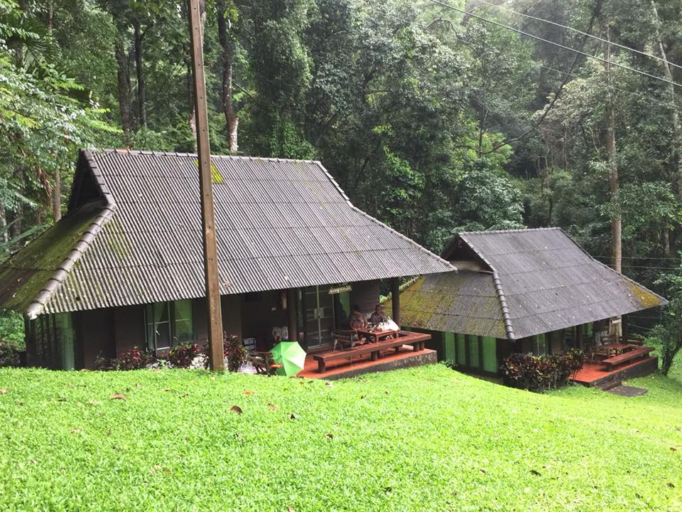 ท่องเที่ยวเหนือคึกคัก! ดอยสุเทพ 15 องศาฯ คาดนักท่องเที่ยวทะลุ3ล้าน