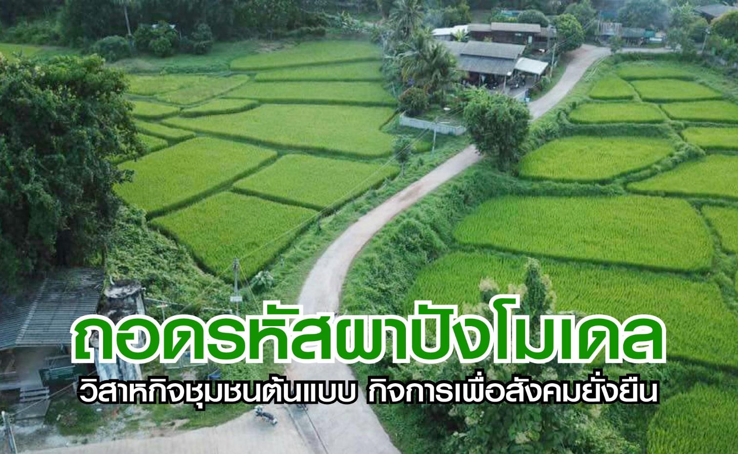 ถอดรหัสผาปังโมเดลวิสาหกิจชุมชนต้นแบบ กิจการเพื่อสังคมยั่งยืน
