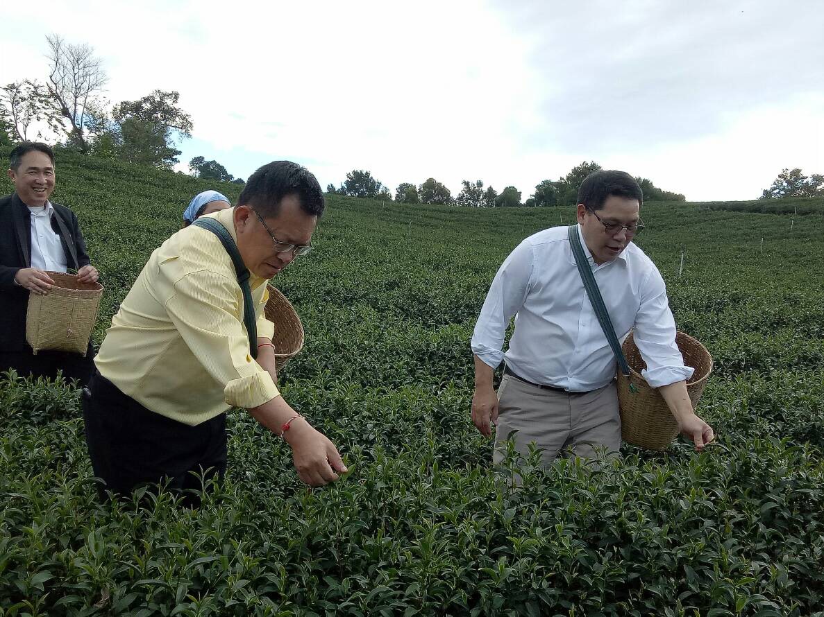 “อุตตม” ดัน ชา กาแฟภาคเหนือส่งออก หวังอุตฯเกษตรไทยได้มาตรฐานตลาดโลก