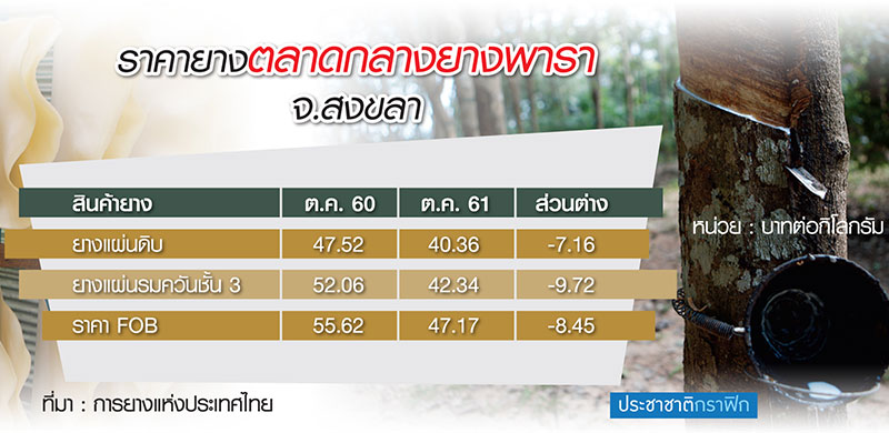 ยางไทยนิยมยั่งยืน “วืด” เป้าแสนสี่ 4 กระทรวงใช้แค่พันตัน