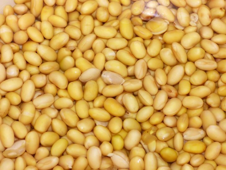 soy-1420508_960_720