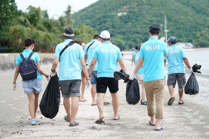 เก็บขยะชายหาด-SEA-LIFE_