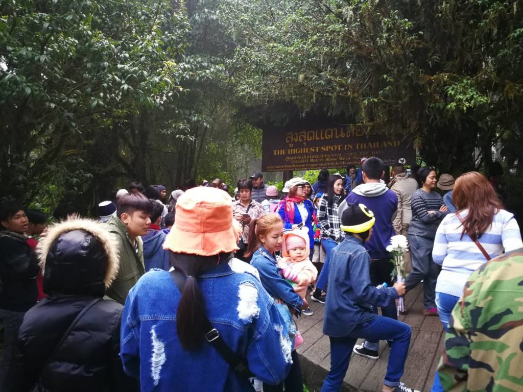 นทท.แห่ขึ้น ‘ดอยอินทนนท์’ วันแรกของฤดูหนาว อุณหภูมิยังต่ำ 8 องศา