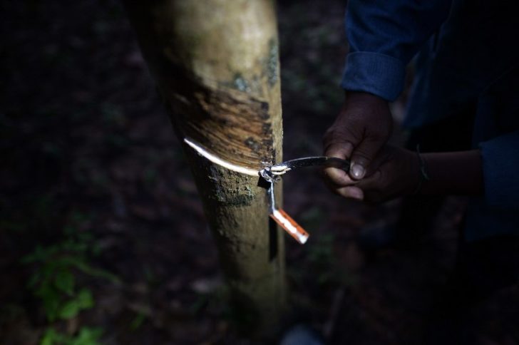 THAILAND-COMMODITIES-ECONOMY-POLITICS-RUBBER