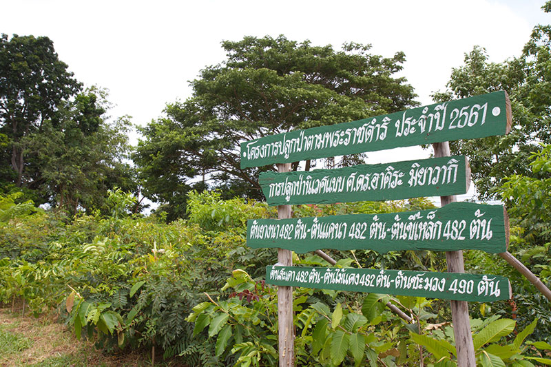 ชุมชนต้นแบบสิ่งแวดล้อม “โตโยต้า” ลดเมืองร้อน ด้วยมือเรา-