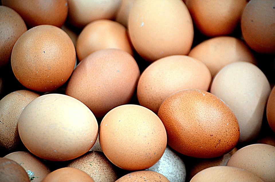 ชง คชก.แก้ไข่ไก่ราคาดิ่ง หนุนส่งออก-ลดแม่พันธุ์
