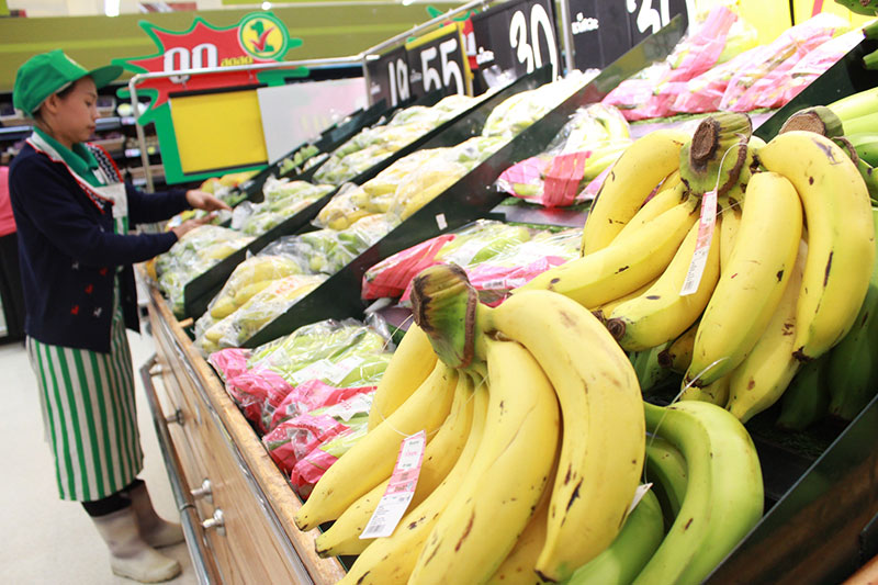 กล้วยหอมทอง”ปทุม”ชูสินค้าGI ส่งออกจีน-ญี่ปุ่นยอดพุ่ง500ล้าน