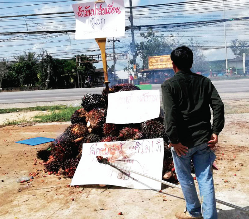 ใต้เผาปาล์มน้ำมันประท้วงจี้รัฐแก้ราคาดิ่ง