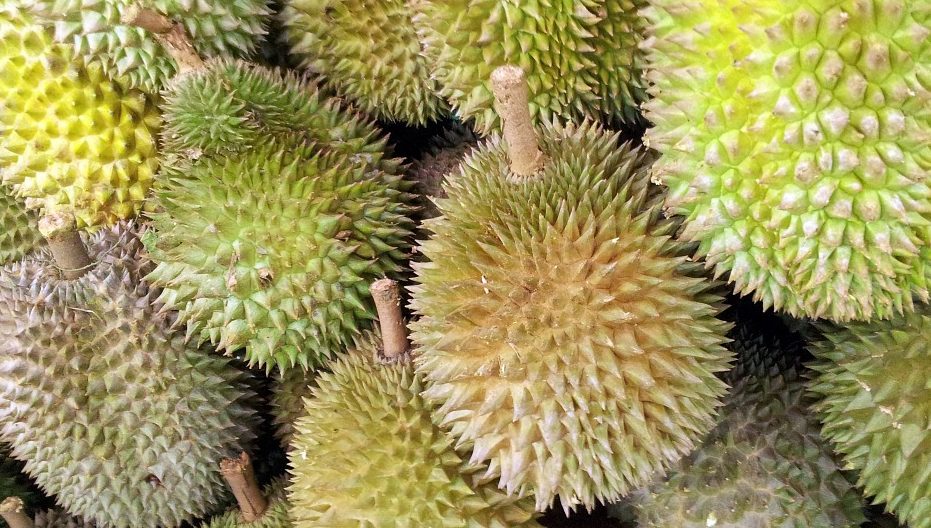 ศรีวิจายาแอร์ดีเลย์ 1 ชม. หลังผู้โดยสารลงจากเครื่อง-เหตุกลิ่นทุเรียนคลุ้งห้องโดยสาร