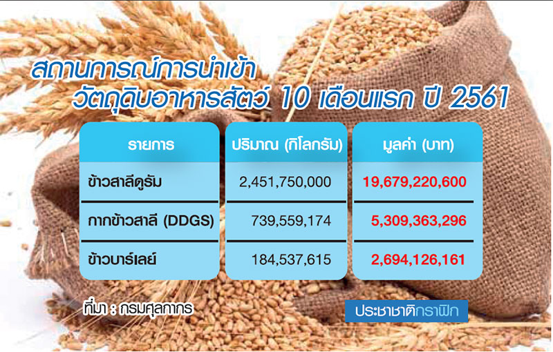 ชาวไร่ข้าวโพดหลังนาอู้ฟู่ ลุ้น10บ./กก.แซงข้าวสาลี-