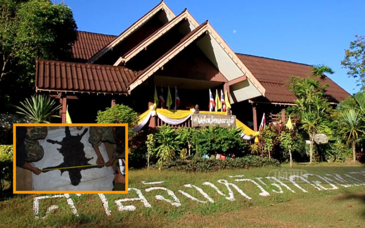 คดีเสือดำพิจารณาเสร็จแล้ว จำเลยที่ 4 อ้างป่วยความดัน ศาลนัดฟังคำพิพากษา 19 มี.ค.62