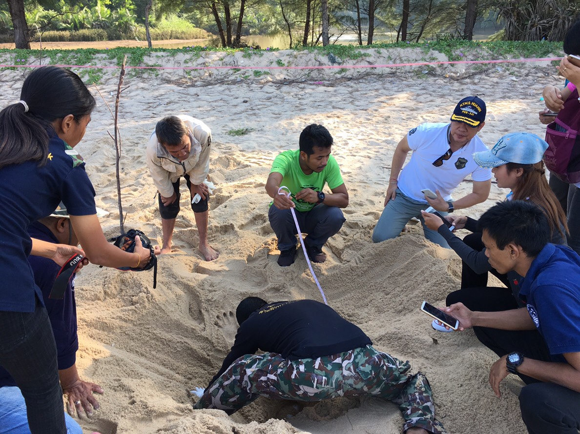“ทีโอที” สนับสนุนไฮสปีดเน็ตให้ระบบเฝ้าระวังติดตามสถานการณ์ “ไข่เต่ามะเฟือง” กรม ทช.ผ่าน CCTV 24 ชม.