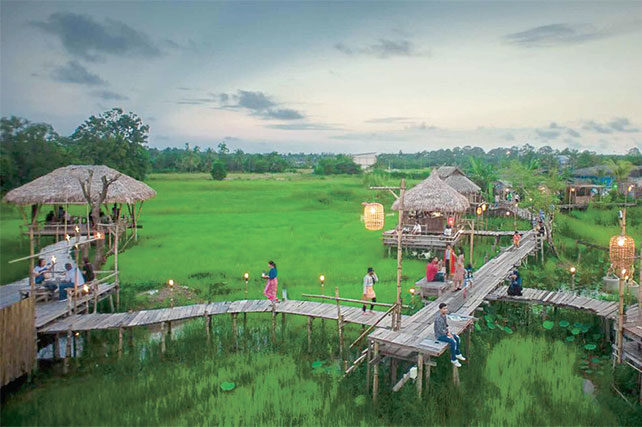 “คาเฟ่ทุ่งนา” กระหึ่มภูธร ชม-ชิว-แชะ ดันยอดรายเดือนทะลุหลักแสน