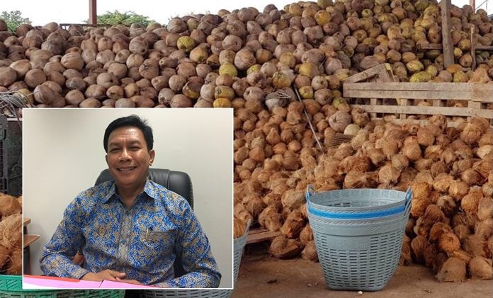 รองผู้ว่าประจวบฯยอมรับยังมีมะพร้าวเถื่อนทะลัก ทุบราคาผลผลิตในประเทศ