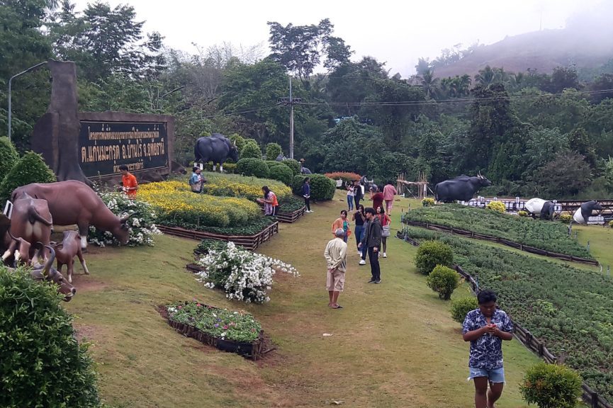 ลุ้น ครม. เคาะ “เที่ยวปันสุข” เปิดลงทะเบียนรับส่วนลดที่พักทั่วไทย