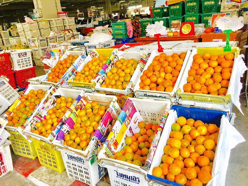 สังคม “ความรู้สึก”-