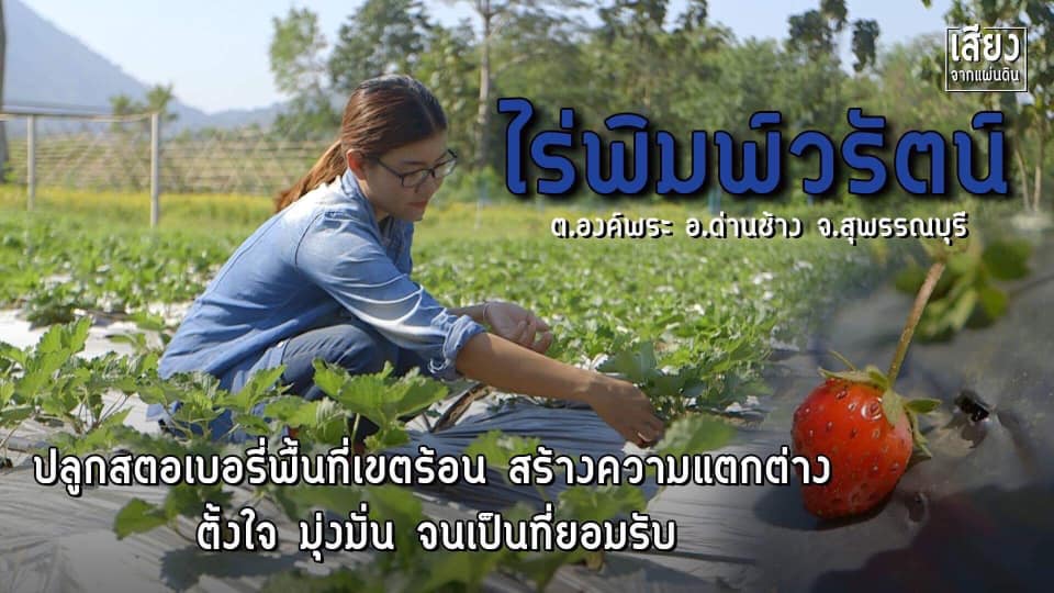สารคดีเสียงจากแผ่นดิน season4 ep13 ไร่พิมพ์วรัตน์ ต.องค์พระ อ.ด่านช้าง จ.สุพรรณบุรี