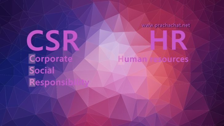 CSR-PCC-mesh-1430108_960_720