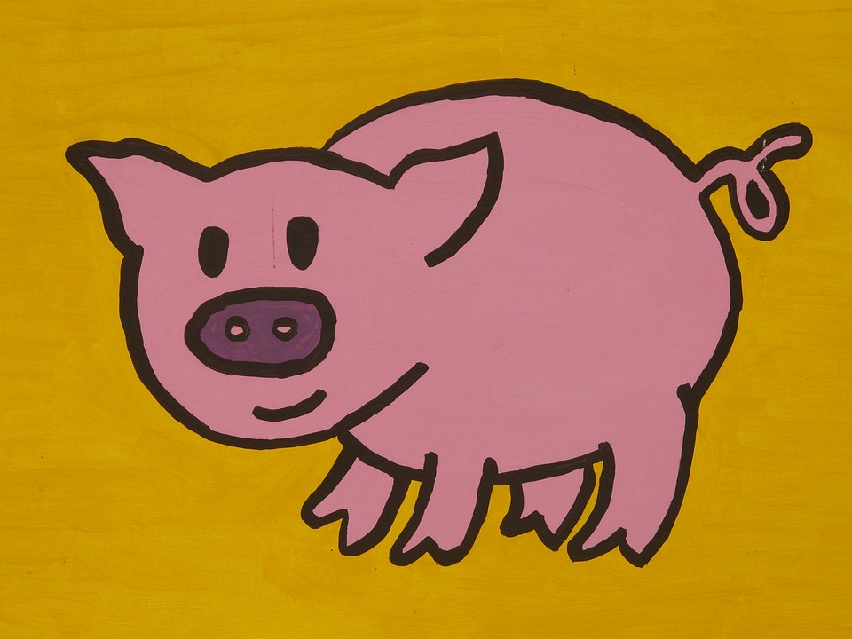 ส่องดวงเศรษฐกิจ-สังคมไทย 2562 ปีหมูที่ไม่หมู