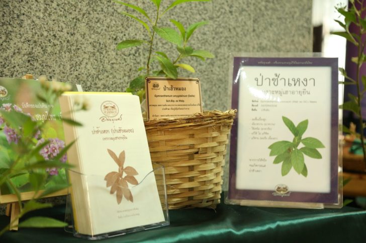 ถอดบทเรียน “หนานเฉาเหว่ย” ใช้เป็นมีคุณ ใช้ผิดวิธีมีโทษ