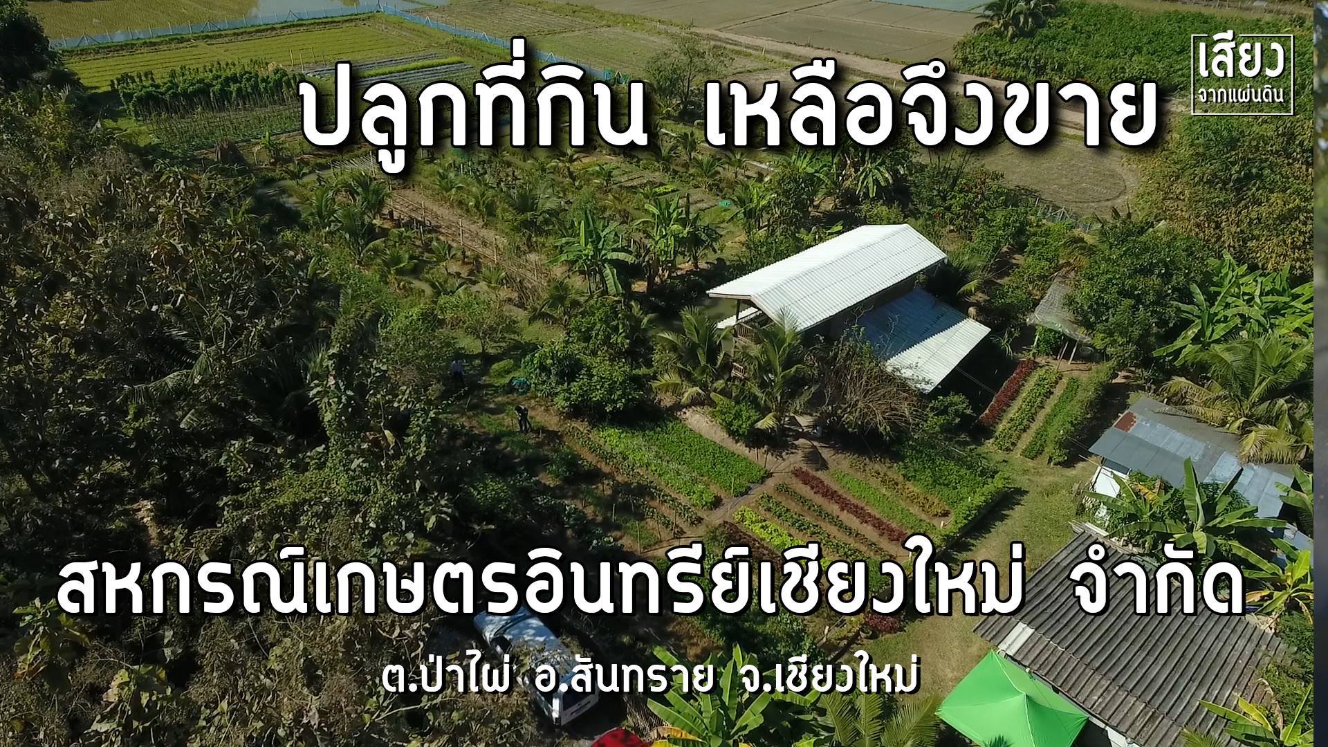 สารคดีเสียงจากแผ่นดิน season4 ep20 สหกรณ์เกษตรอินทรีย์เชียงใหม่ จำกัด “ปลูกที่กิน เหลือจึงขาย” สร้างเครือข่าย พัฒนาชุมชนให้เกิดความเข็มแข็งอย่างยั่งยืน