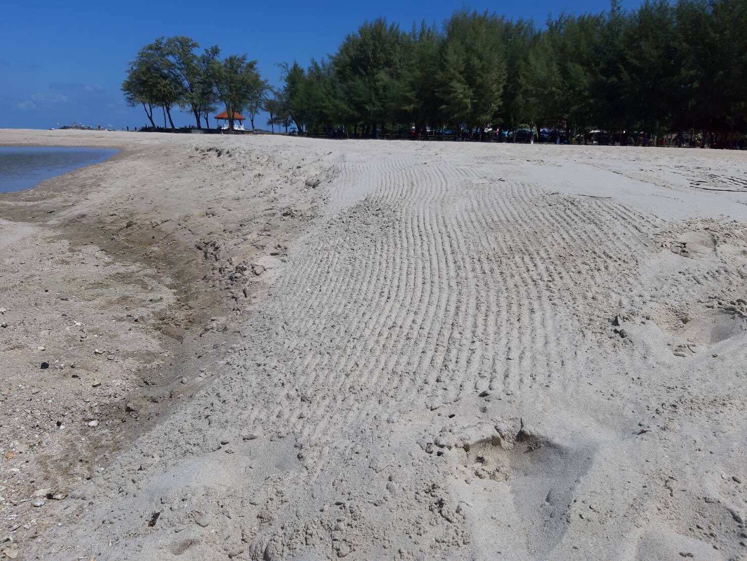 น้ำมันเปื้อนชายหาดแหลมสมิหลา ทส.เร่งเก็บหลักฐานหาแหล่งที่มา