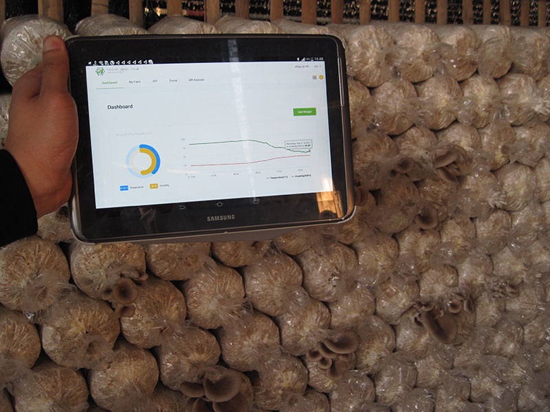 ดึงวิจัยจาก “หิ้ง” สู่ “ฟาร์ม” ปูพรม IoT ปั้น Agri-Big Data