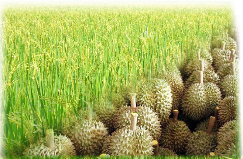 อะไรขายดี…ต้องระวัง