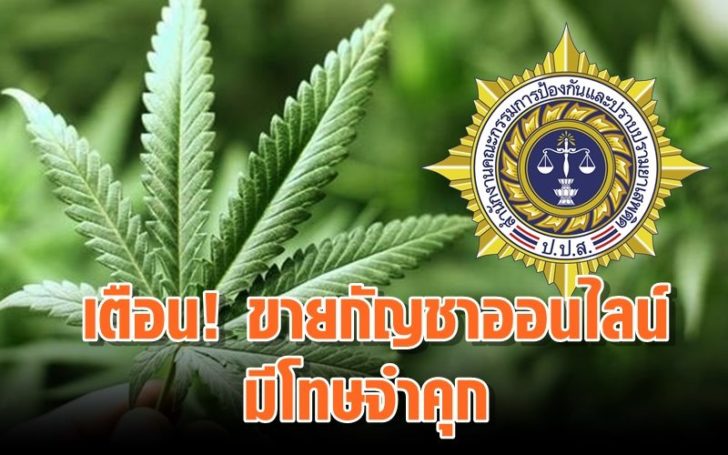 ป.ป.ส.แจ้งเตือนโพสต์ ซื้อ-ขาย กัญชา ใครแชร์เข้าข่าย ‘โฆษณายาเสพติด’ มีโทษจำคุก
