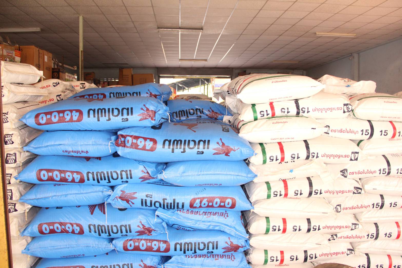 พาณ ชย ลำพ น ลงพ นท ตรวจสอบการจำหน ายป ยเคม พบราคาลดลง 50 บาทต อกระสอบ ช เป นประโยชน ก บเกษตรกร