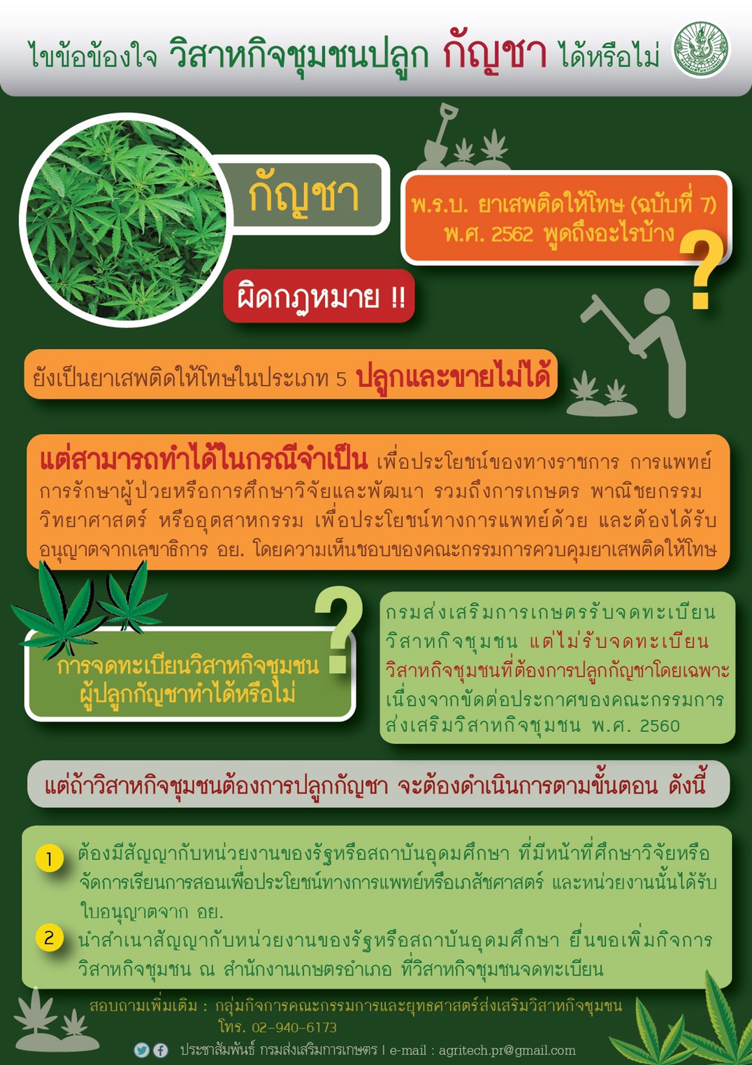 เกษตรฯแจง! ไขข้อข้องใจ วิสาหกิจชุมชนปลูกกัญชา ได้หรือไม่?