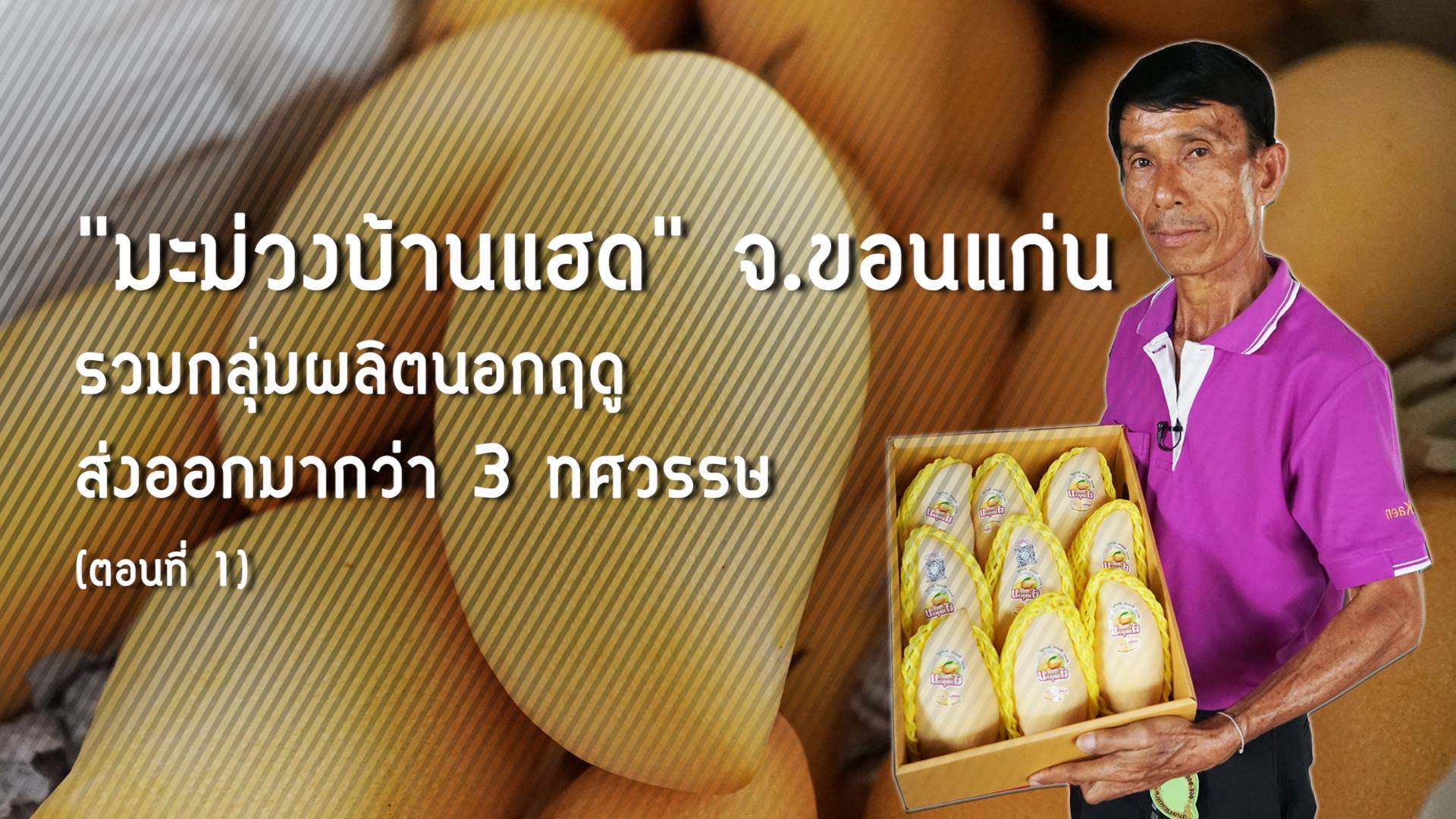 สารคดีเสียงจากแผ่นดิน season4 ep23 มะม่วงบ้านแฮด จ.ขอนแก่น รวมกลุ่มผลิตนอกฤดู ส่งออกมากว่า 3 ทศวรรษ
