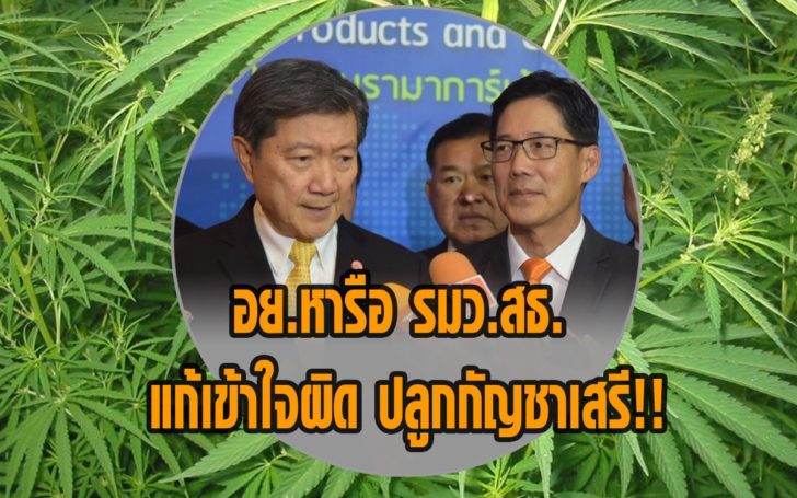อย.เตรียมหารือ ‘ปิยะสกล’ แก้เข้าใจคลาดเคลื่อนปลูกกัญชาเสรี 4 มี.ค.นี้