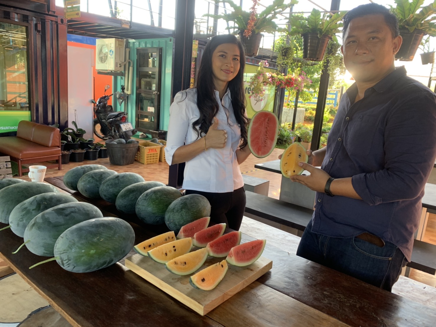 หนุ่มวิศวฯเมืองตรัง จับเส้นทางทำเกษตรโกยเงินแสน/เดือน