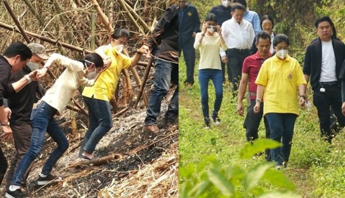 หญิงหน่อย นำทีมว่าที่ ส.ส.เชียงใหม่ ช่วยแก้ฝุ่นพิษ-แจกหน้ากาก