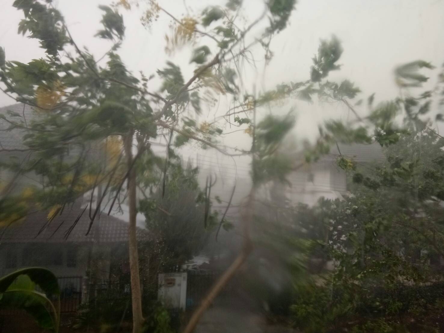 เชียงใหม่เกิดพายุฤดูร้อนหนัก คาดพัดฝุ่นควันลดวิกฤติ