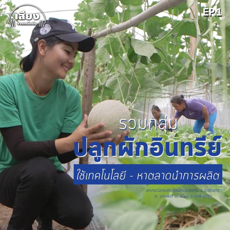 สารคดีเสียงจากแผ่นดิน Season5 EP.1 : สหกรณ์เกษตรพืชผักปลอดภัยจังหวัดฉะเชิงเทรา